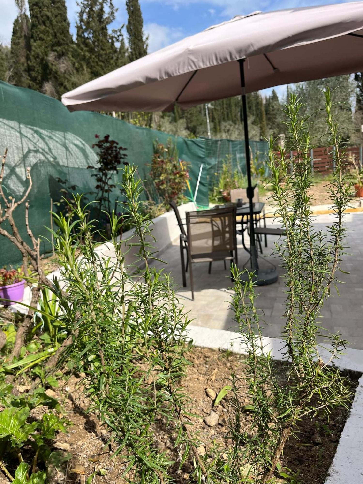 G&Z Cottage Kynopiástai المظهر الخارجي الصورة